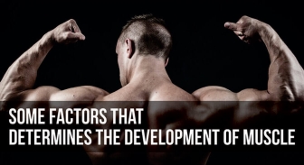 Some Factors That Determines the Development of Muscle