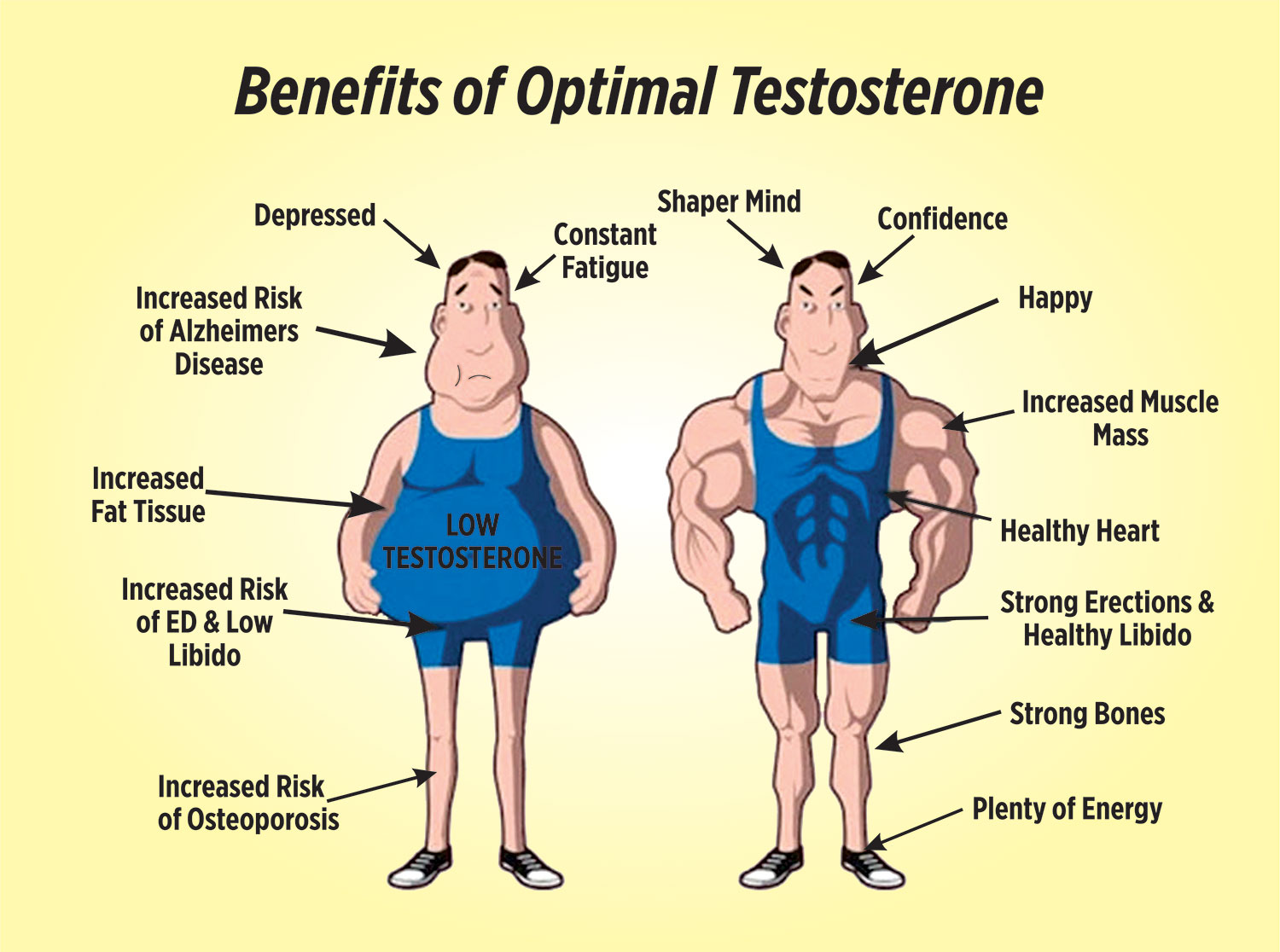 Does having more testosterome make your dick bigger