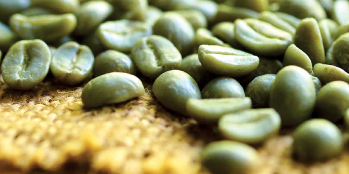 Revealing Unknown Facts about Green Coffee for Weight Loss