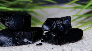 01-shilajit-Nutrafirst-website_blog_banner-1200×600-1