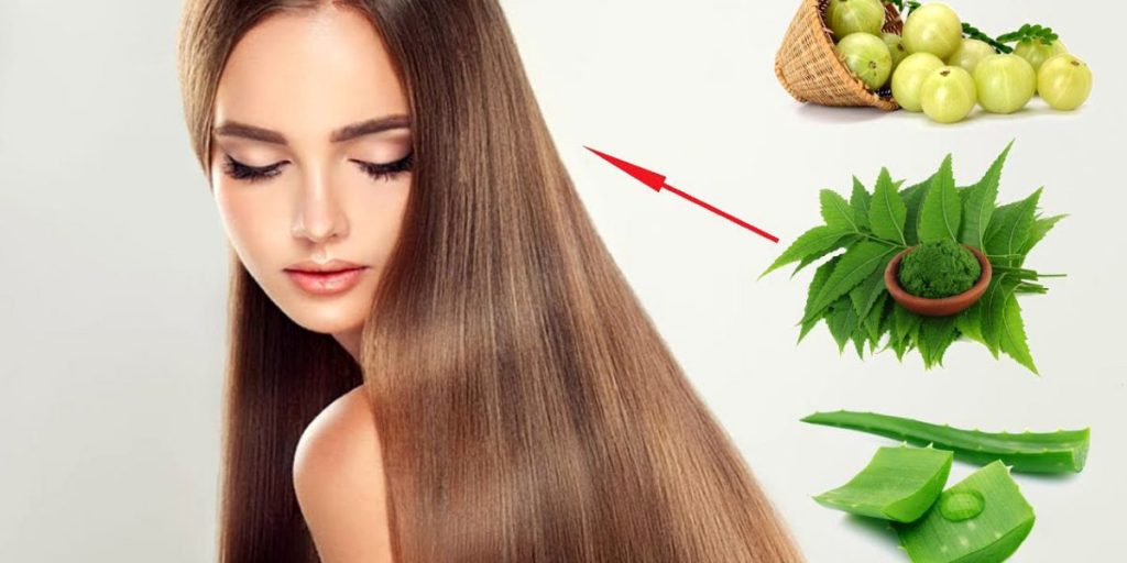 Home Remedies for Dry Hair That Really Work